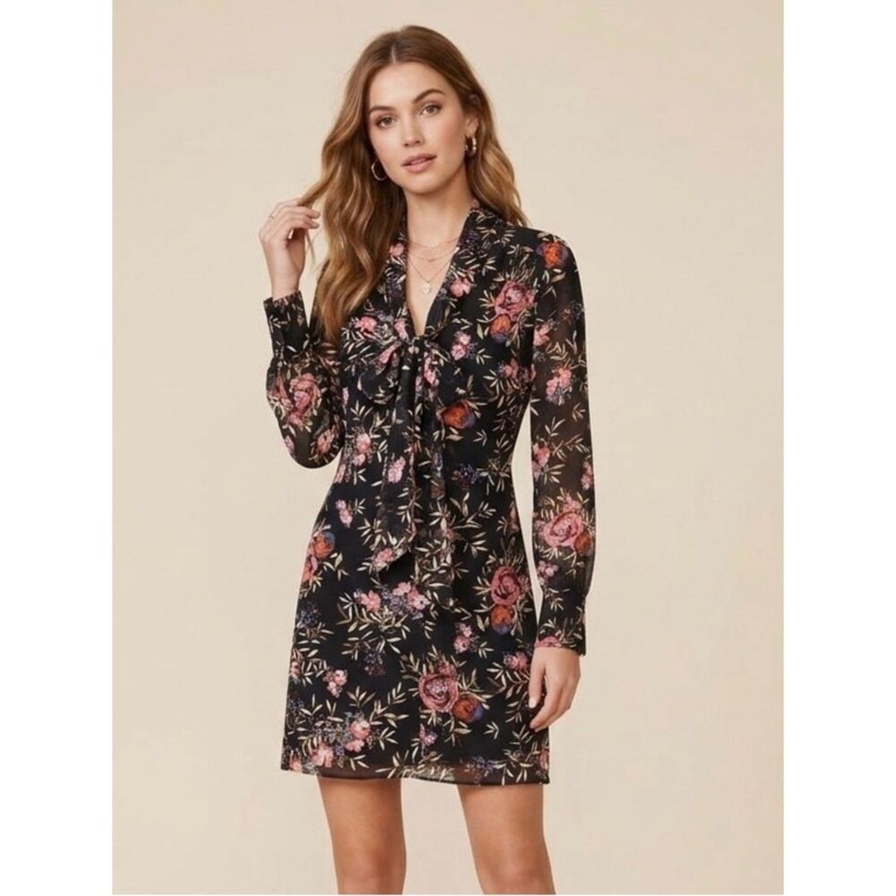 Rachel Rachel Roy Tie Neck Black Chiffon Sheer Sleeve Floral Mini Dress Size 4